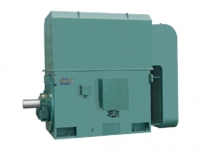 YKK355-1000系列(6KV、10KV)