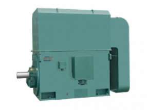 YKK355-1000系列（6KV、10KV）