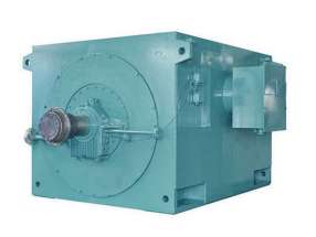 Y系列（6KV、10KV）高壓三相異步電動(dòng)機(jī)（355-1000） 高壓電機(jī)